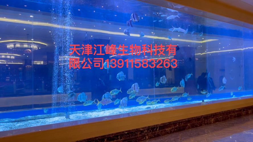 匠心筑梦，科技赋能——记江峰园科技如何做好每一份工作